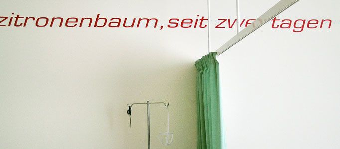 zitronenbaum